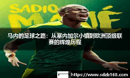 雷火亚洲电竞平台