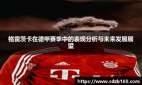 雷火电竞官方网站入口